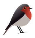 Robin GmbH Webdesign und Online Marketing